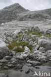 Triglav National Park