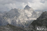 Triglav Nationaal Park