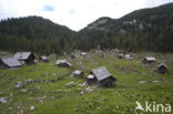 Triglav Nationaal Park