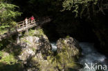 Triglav Nationaal Park