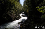 Triglav National Park