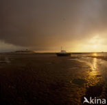 Waddenzee