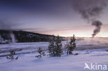 Yellowstone National Park