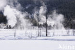 Yellowstone national park