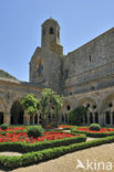 Abbaye Sainte-Marie de Fontfroide