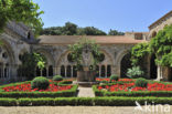 Abbaye Sainte-Marie de Fontfroide