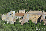 Abbaye Sainte-Marie de Fontfroide