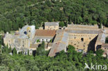 Abbaye Sainte-Marie de Fontfroide