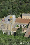 Abbaye Sainte-Marie de Fontfroide