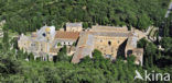 Abbaye Sainte-Marie de Fontfroide