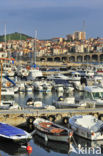 Banyuls-sur-Mer