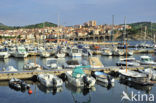 Banyuls-sur-Mer