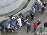 Pilgrimage Lourdes