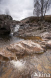 Ben Lawers