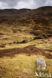 Ben Lawers