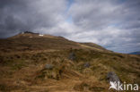 Ben Lawers