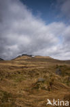 Ben Lawers