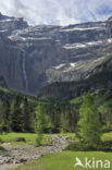 Cirque de Gavarnie