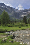 Cirque de Gavarnie