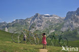 Col d’Aubisque