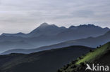 Col d’Aubisque