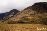 Glen Coe