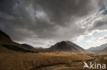 Glen Etive