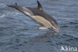 Bay of Biscay