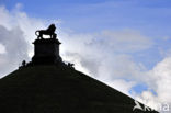 Butte du Lion