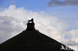 Butte du Lion