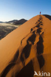 Namib naukluft national park