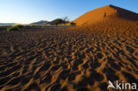 Namib naukluft national park