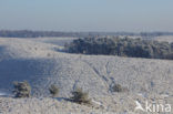 Nationaal Park Veluwezoom