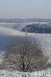 Nationaal Park Veluwezoom