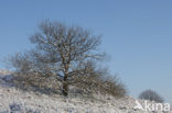 Nationaal Park Veluwezoom