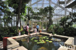 National Botanic Garden of Belgium