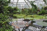 National Botanic Garden of Belgium