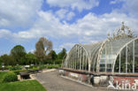 Nationale Plantentuin van België