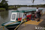 Parque nacional Tortuguero