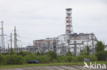 Tsjernobyl