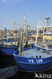 Yerseke fisheryharbour