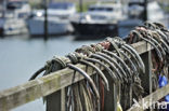 Yerseke fisheryharbour