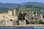 Château Royal de Collioure