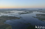Dannemeer