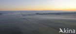 Dannemeer