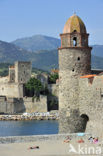 Église Notre-Dame des Anges en de Château Royal