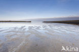 Port of Lauwersoog