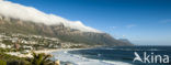 Capetown