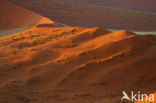 Namib naukluft national park