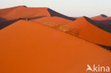 Namib naukluft national park